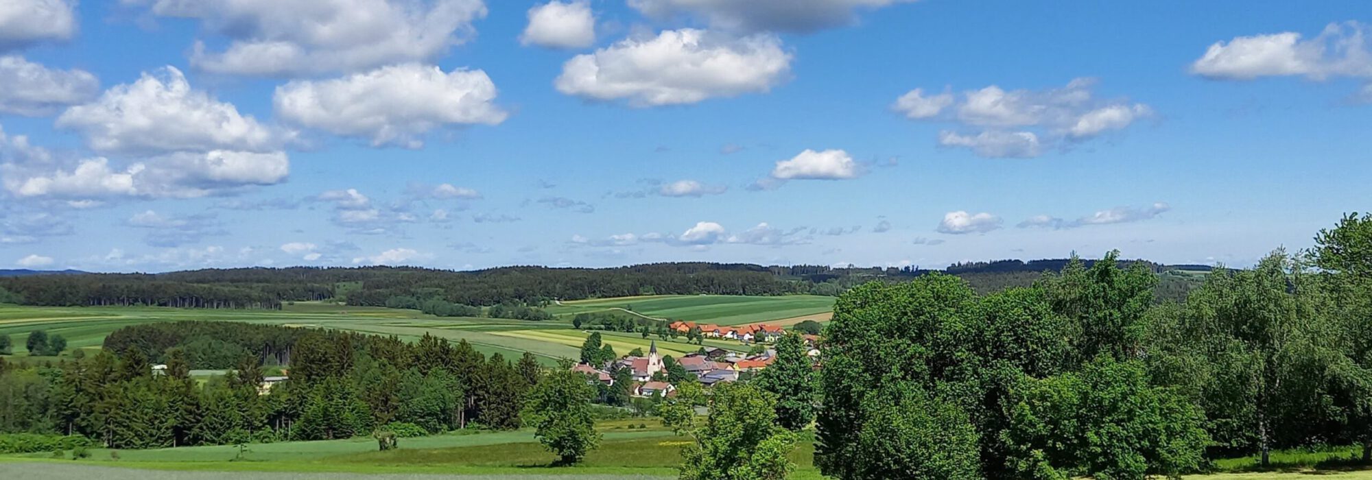 Ansicht Kirchschlag vom Hochbehälter_Juni_näher